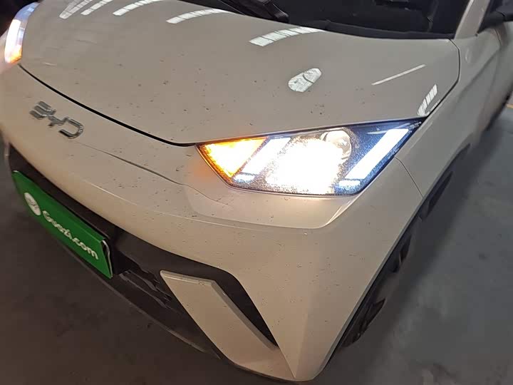 BYD Seagull 2025 2025款 305km 活力版