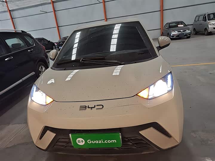 BYD Seagull 2025 2025款 305km 活力版