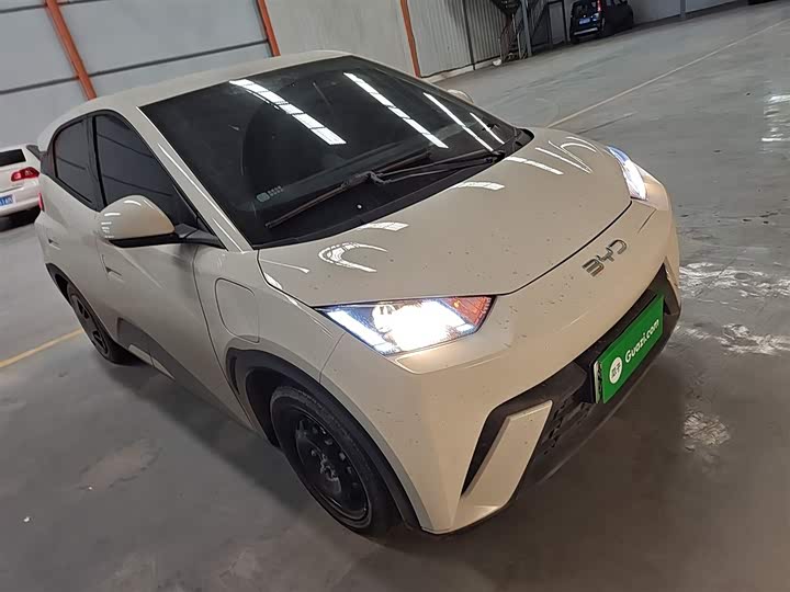 BYD Seagull 2025 2025款 305km 活力版