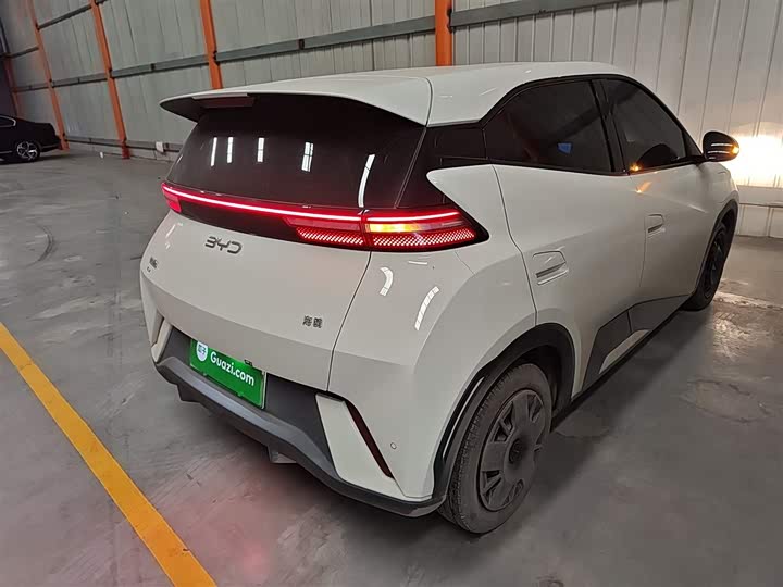 BYD Seagull 2025 2025款 305km 活力版