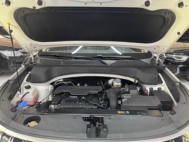 Kia Sportage GT-line 2021 2021款 Ace 2.0L 精彩版