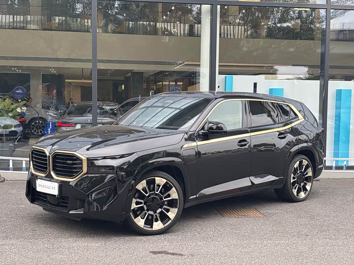 BMW XM 2023 2023款 基本型