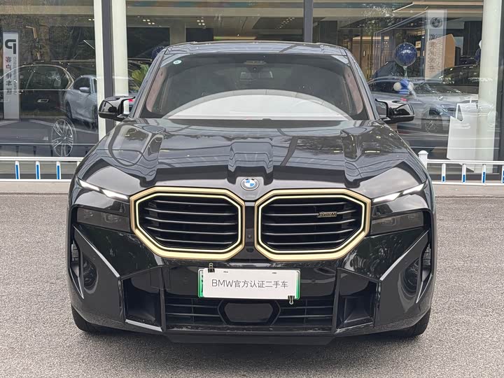 BMW XM 2023 2023款 基本型