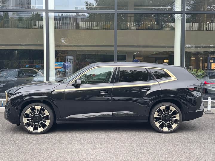BMW XM 2023 2023款 基本型