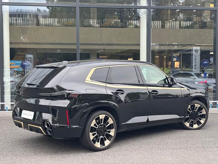 BMW XM 2023 2023款 基本型