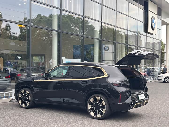 BMW XM 2023 2023款 基本型