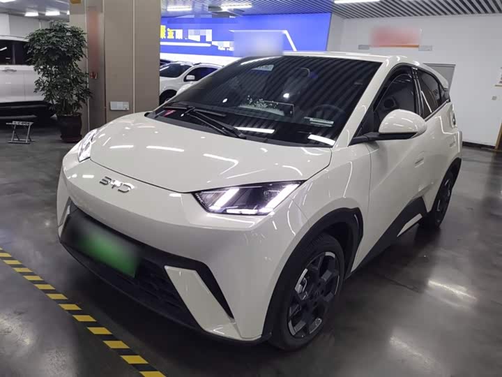 BYD Seagull 2025 2025款 405km 飞翔版