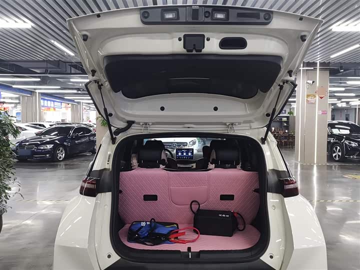 BYD Seagull 2025 2025款 405km 飞翔版