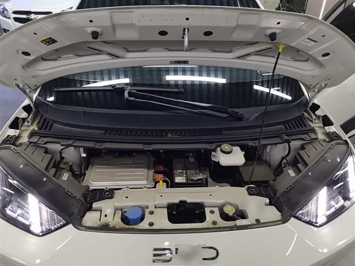 BYD Seagull 2025 2025款 405km 飞翔版