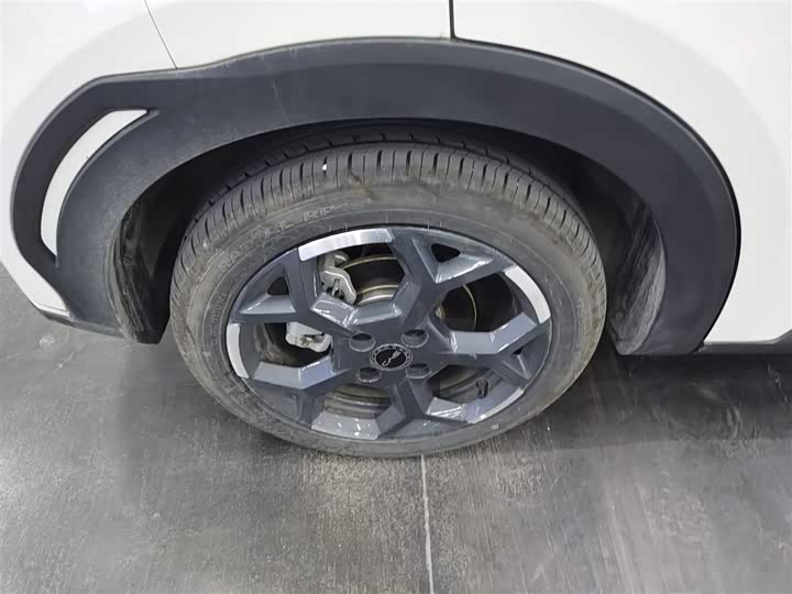 BYD Seagull 2025 2025款 405km 飞翔版