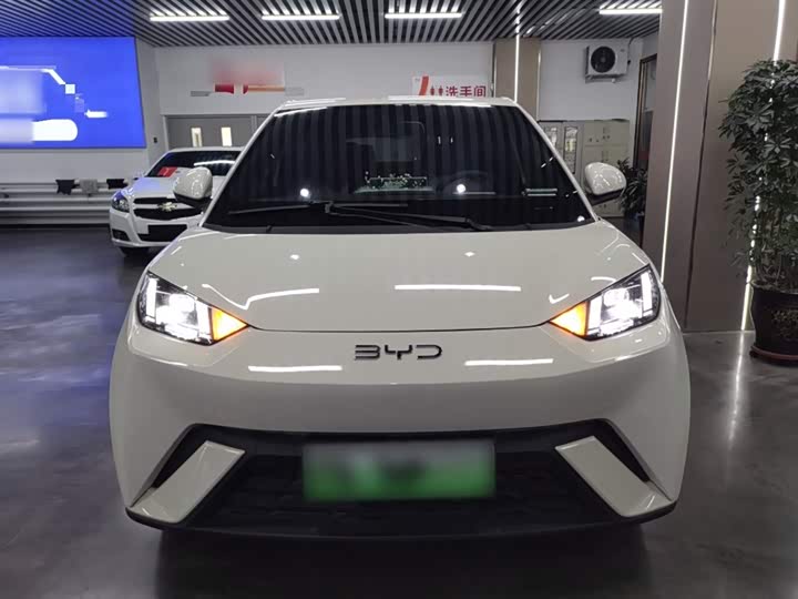 BYD Seagull 2025 2025款 405km 飞翔版