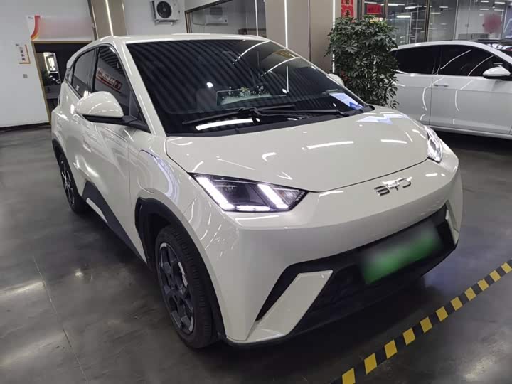 BYD Seagull 2025 2025款 405km 飞翔版