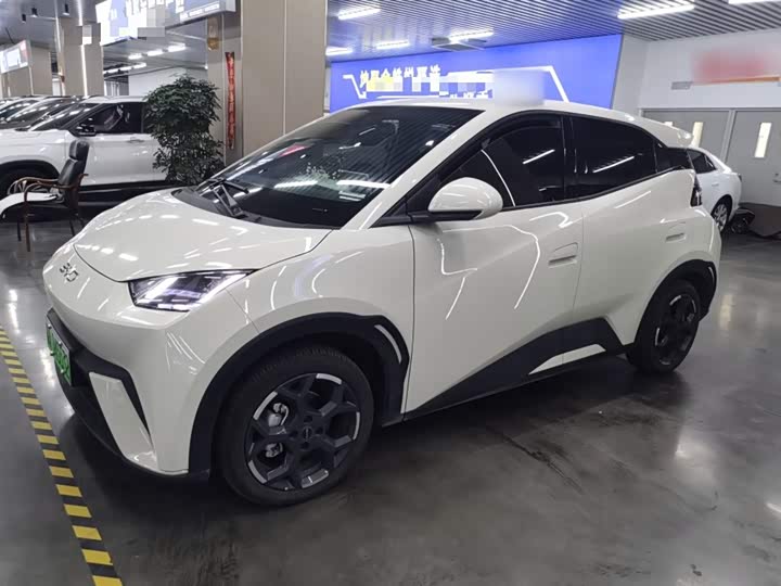 BYD Seagull 2025 2025款 405km 飞翔版