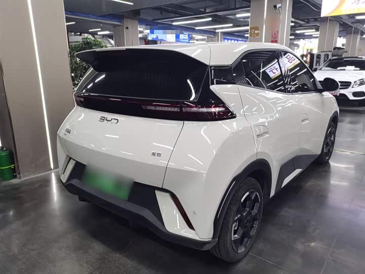 BYD Seagull 2025 2025款 405km 飞翔版