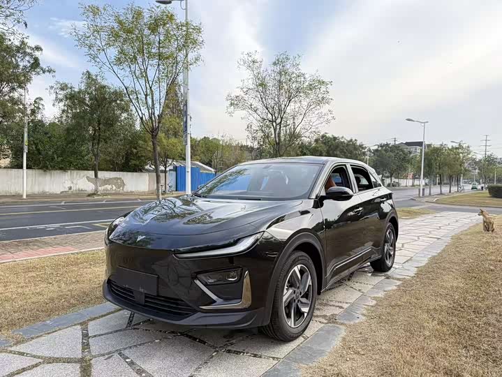 Hozon X 2024 2024款 400 尊享版