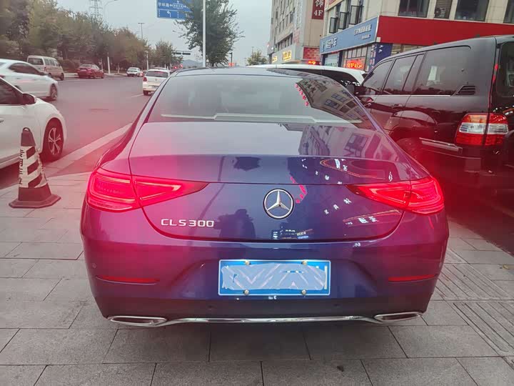 Mercedes-Benz CLS-Class 2023 2023款 CLS 300 动感型