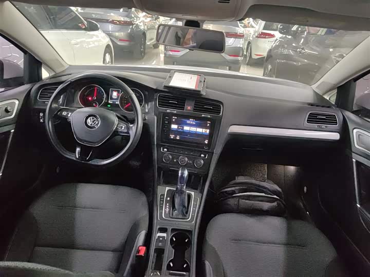 Volkswagen Golf EV 2020 2020款 驰