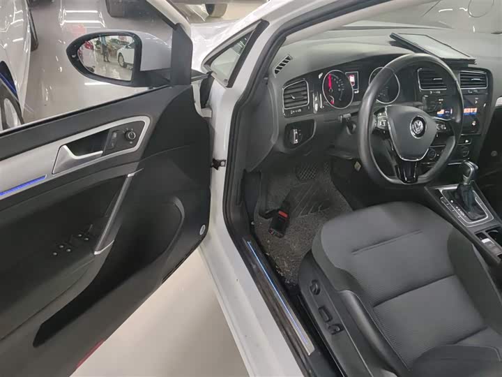 Volkswagen Golf EV 2020 2020款 驰