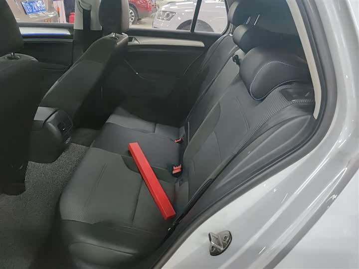 Volkswagen Golf EV 2020 2020款 驰