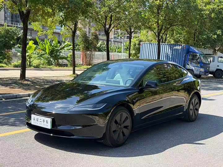 Tesla Model 3 2023 2023款 后轮驱动版