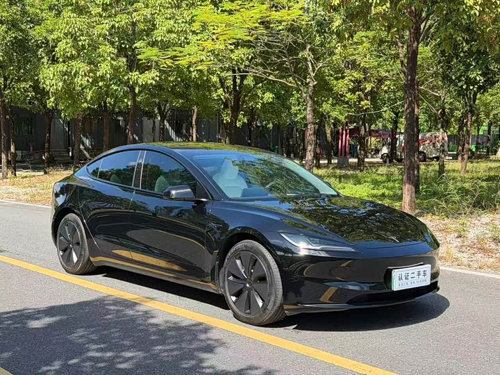 Tesla Model 3 2023 2023款 后轮驱动版