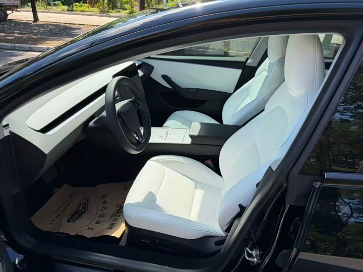 Tesla Model 3 2023 2023款 后轮驱动版