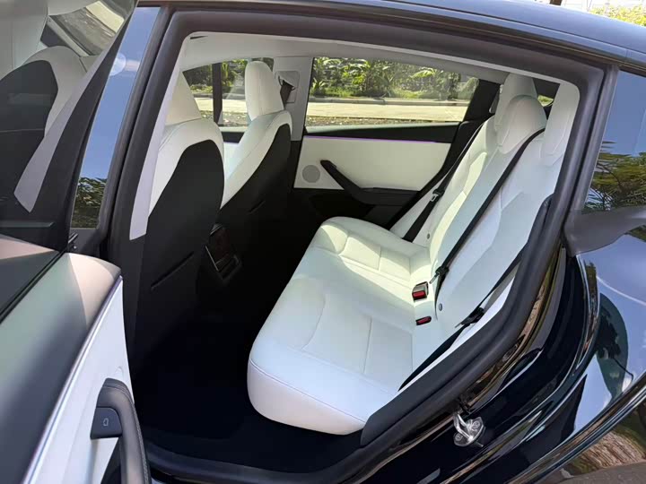 Tesla Model 3 2023 2023款 后轮驱动版