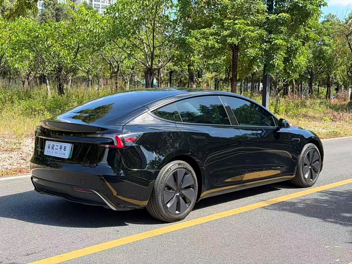 Tesla Model 3 2023 2023款 后轮驱动版