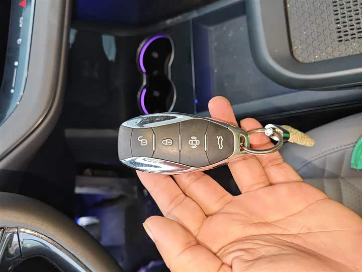 Hongqi EH7 2024 2024款 690 Pro