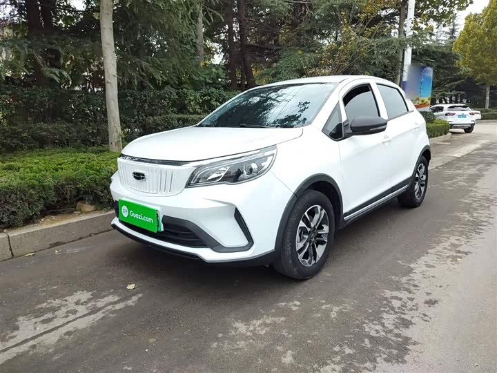 Geely Geometry EX3 2021 2021款 坚强牛牛
