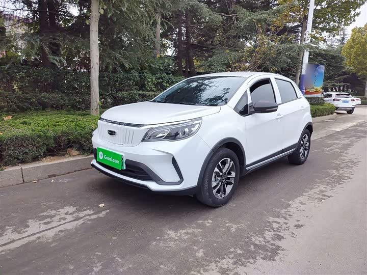 Geely Geometry EX3 2021 2021款 坚强牛牛