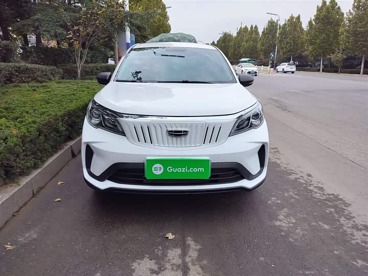 Geely Geometry EX3 2021 2021款 坚强牛牛