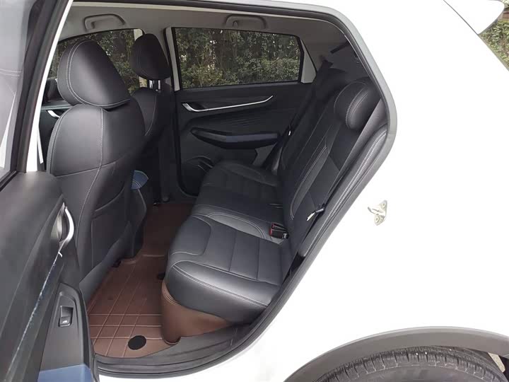 Geely Geometry EX3 2021 2021款 坚强牛牛