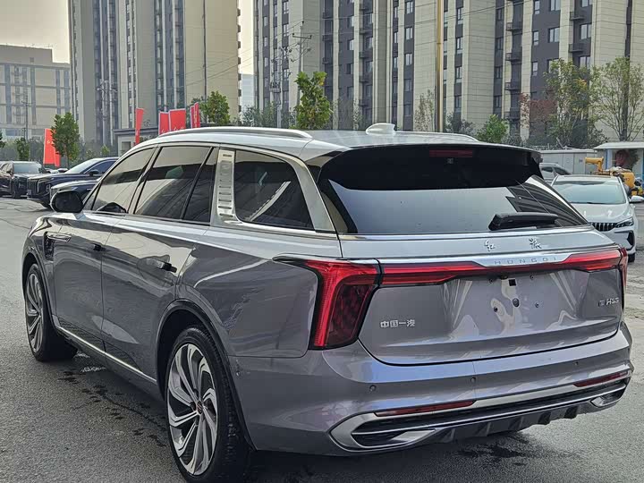 Hongqi E-HS9 2022 2022款 660km 旗领版 四座