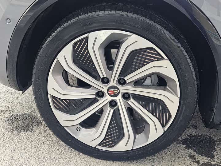 Hongqi E-HS9 2022 2022款 660km 旗领版 四座