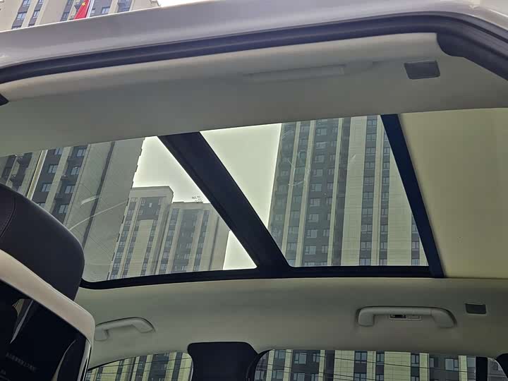 Hongqi E-HS9 2022 2022款 660km 旗领版 四座