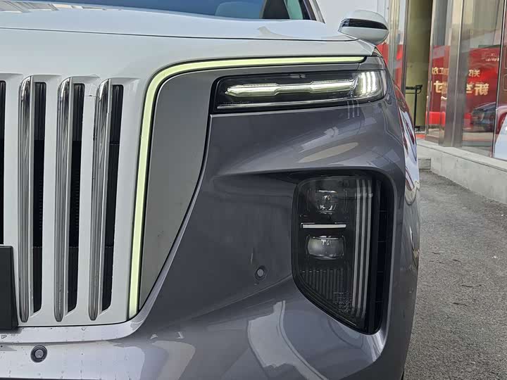 Hongqi E-HS9 2022 2022款 660km 旗领版 四座