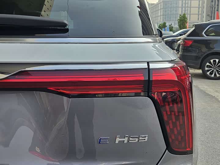 Hongqi E-HS9 2022 2022款 660km 旗领版 四座
