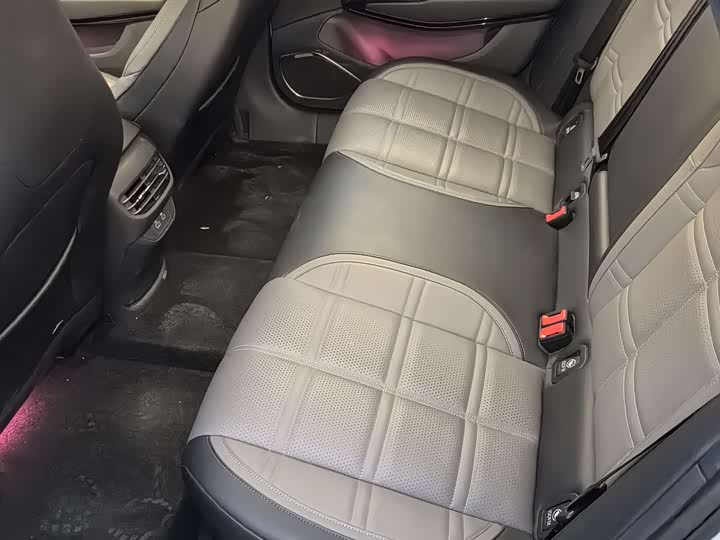 Hongqi EH7 2024 2024款 690 Pro