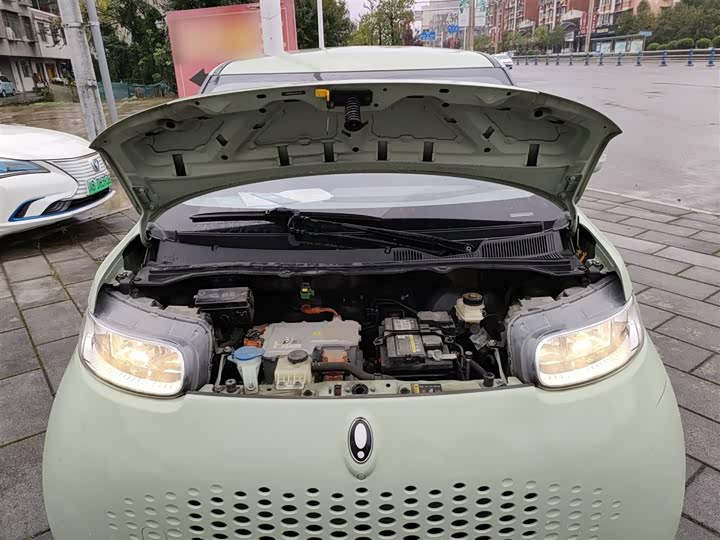 Ora White Cat 2022 2022款 升级版 305km 豪华型 三元锂