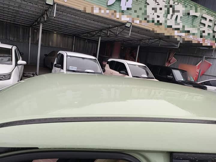 Ora White Cat 2022 2022款 升级版 305km 豪华型 三元锂