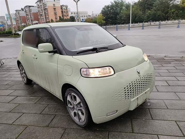 Ora White Cat 2022 2022款 升级版 305km 豪华型 三元锂