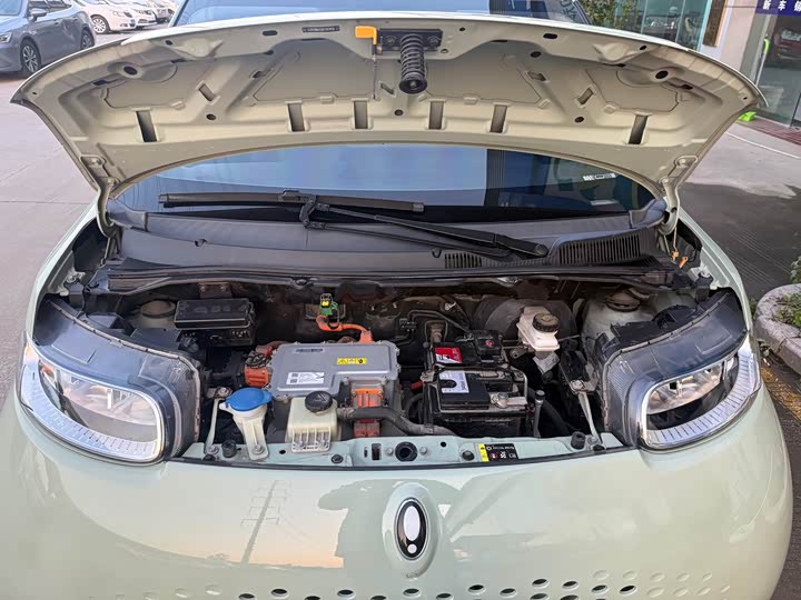 Ora White Cat 2022 2022款 升级版 305km 舒享型 三元锂