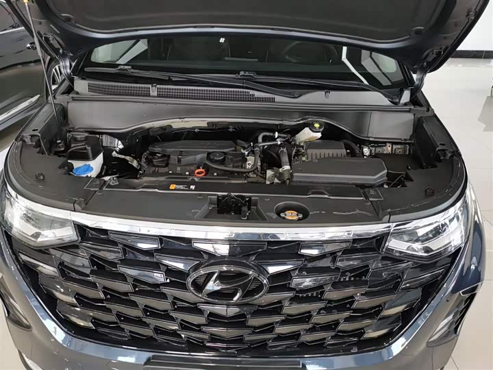Hyundai Custo 2022 2022款 270TGDi 智爱旗舰版 TOP