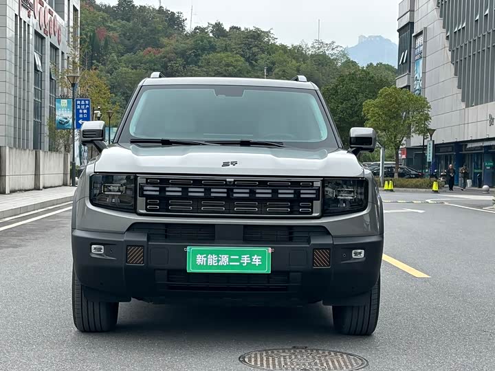 Jetour Shanhai T1 2024 2024款 150km 向湖