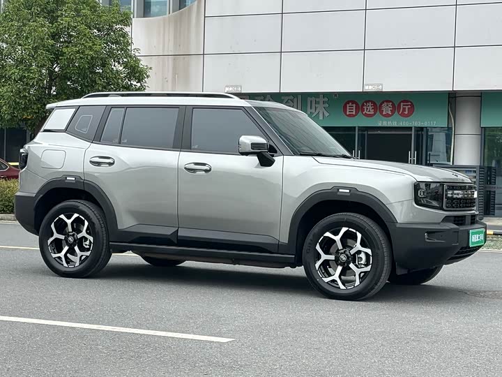 Jetour Shanhai T1 2024 2024款 150km 向湖