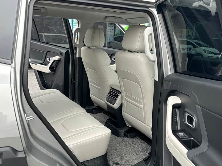 Jetour Shanhai T1 2024 2024款 150km 向湖