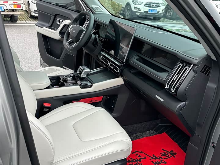 Jetour Shanhai T1 2024 2024款 150km 向湖