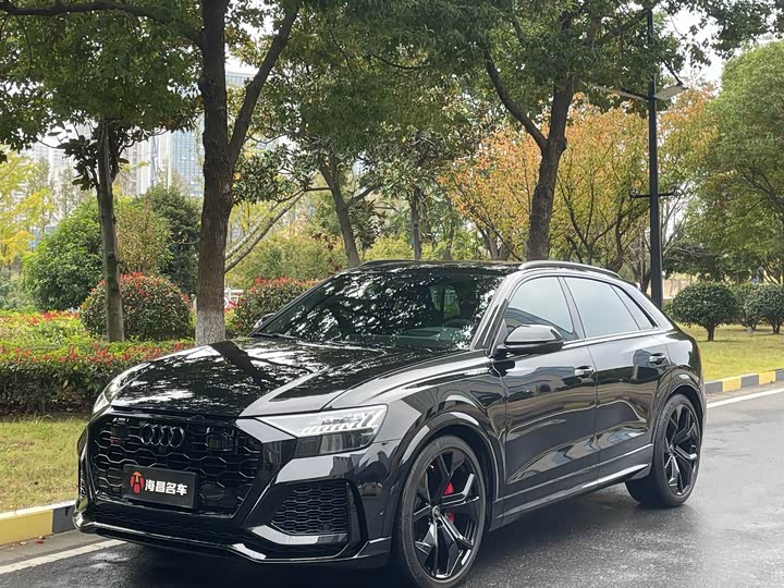 Audi RS Q8 2025 2025款 RS Q8 4.0T performance