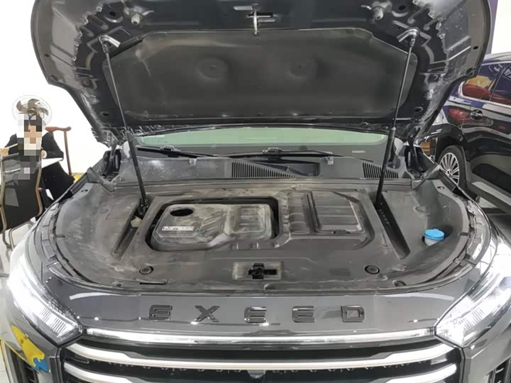 Exeed VX 2024 2024款 国际版 400T 四驱星尊 6座